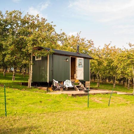 Harrys Hideout - Shepherd'S Huts At Harrys Cottages Pen-y-Clawdd 외부 사진