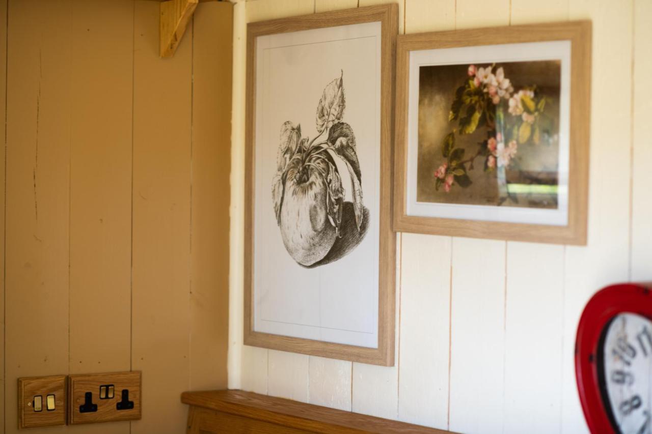 Harrys Hideout - Shepherd'S Huts At Harrys Cottages Pen-y-Clawdd 외부 사진